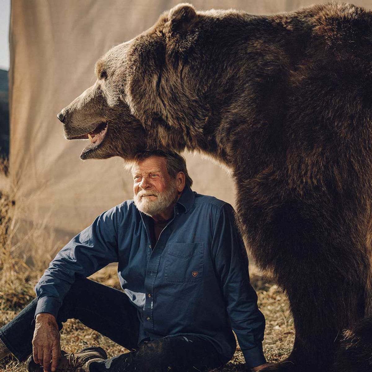 The bear actors. Актер медведь барт. Медведь кадьяк барт. The bear actors. The bear actors.