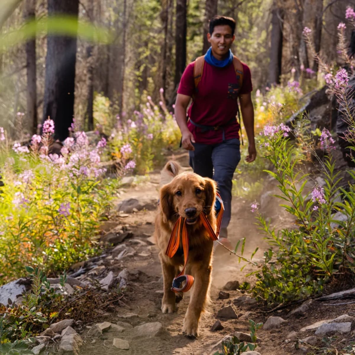 12 Best Dog Leashes of 2022 Men s Journal Men s Journal