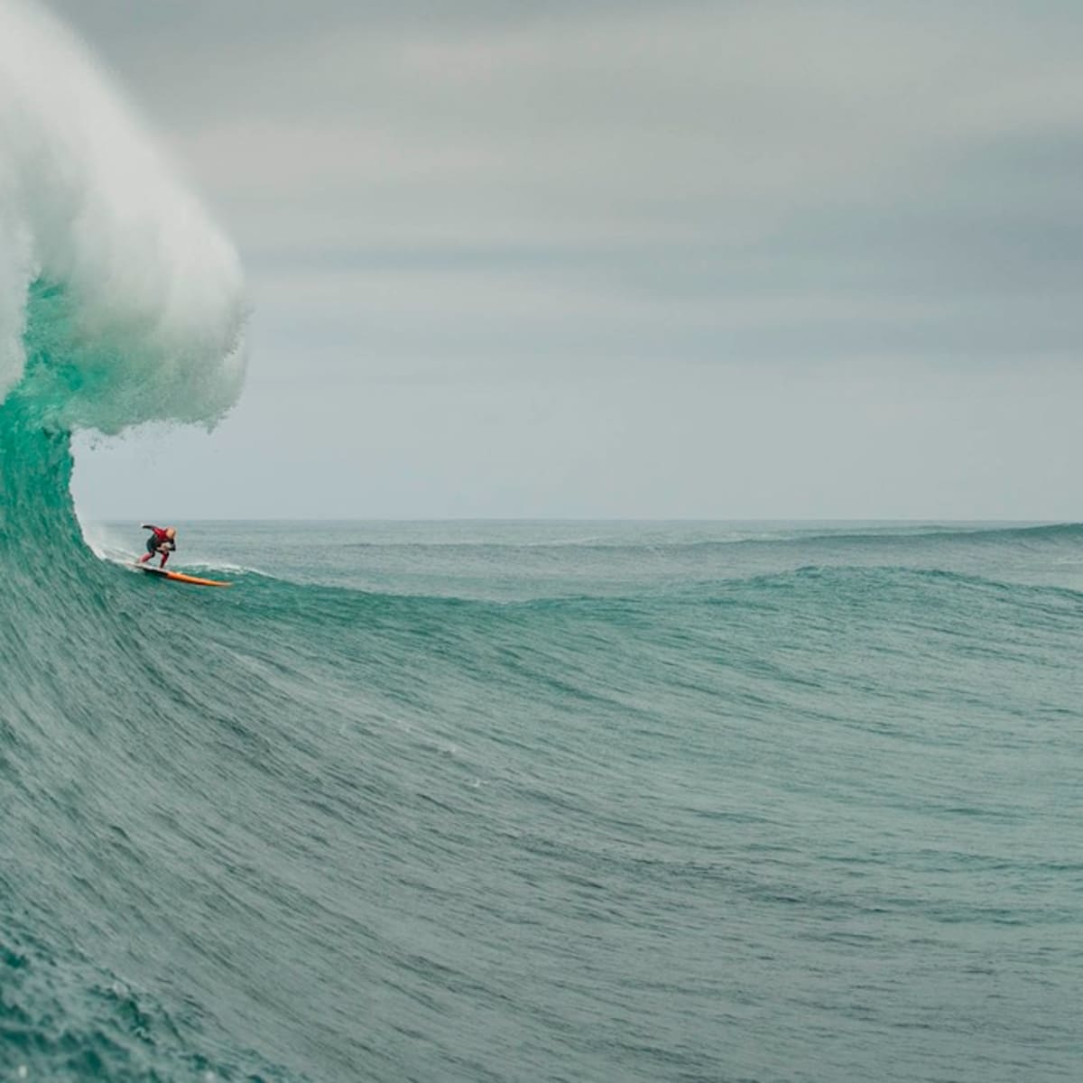 Big sales wave rider