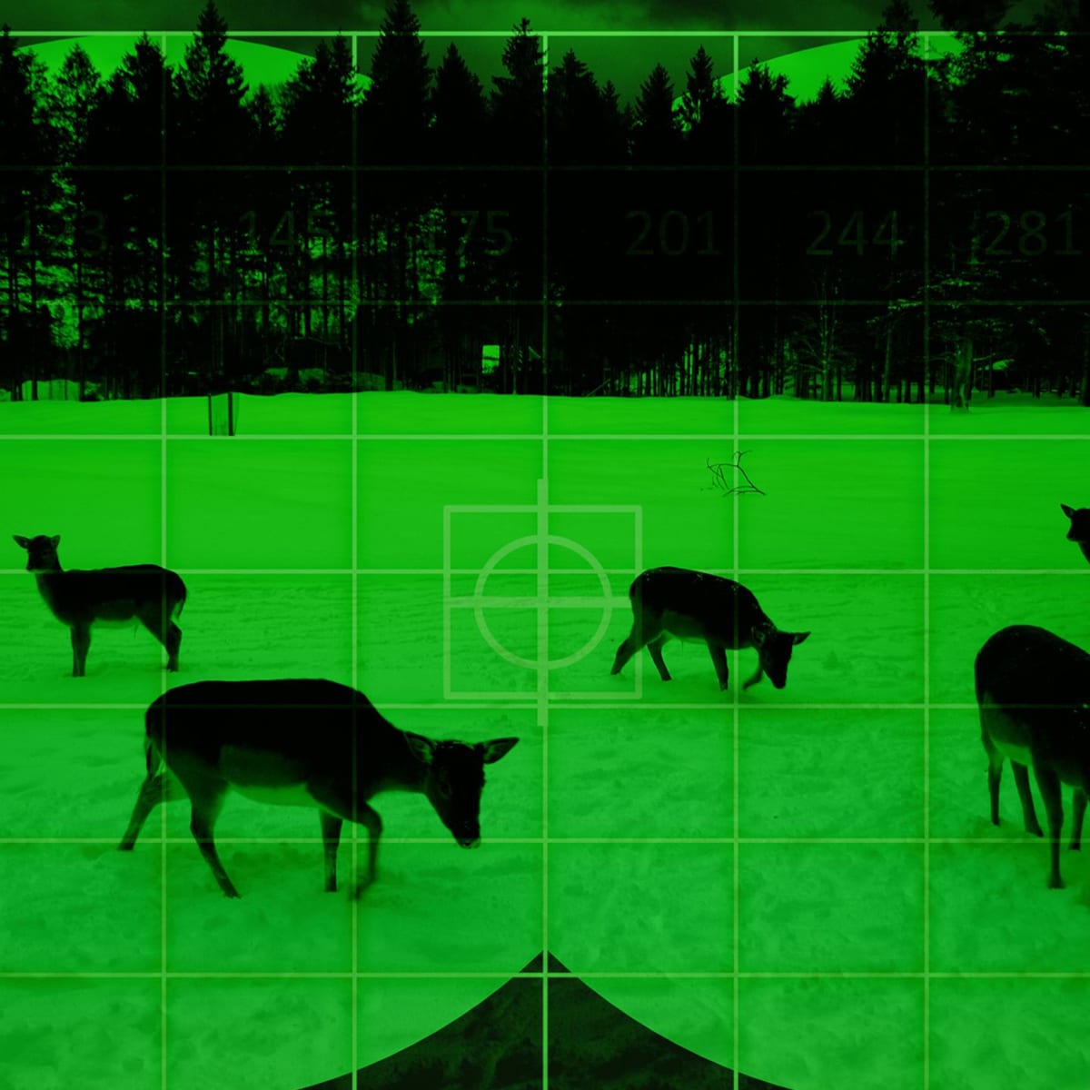 Night vision goggles view new arrivals
