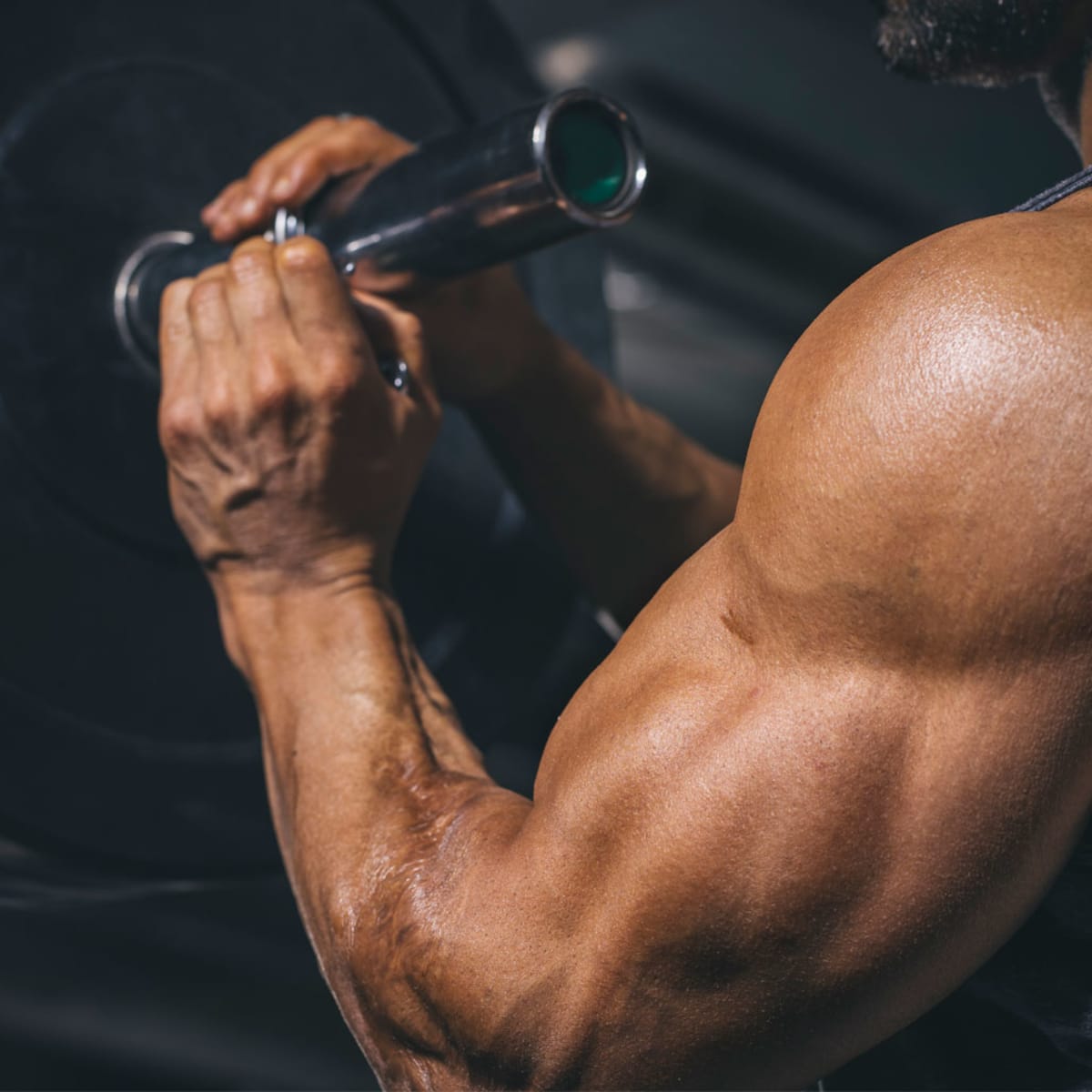 Brachialis training new arrivals