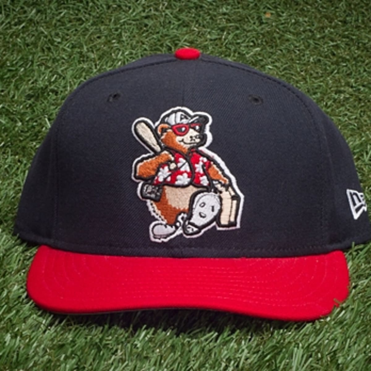 Coolest minor best sale league baseball hats