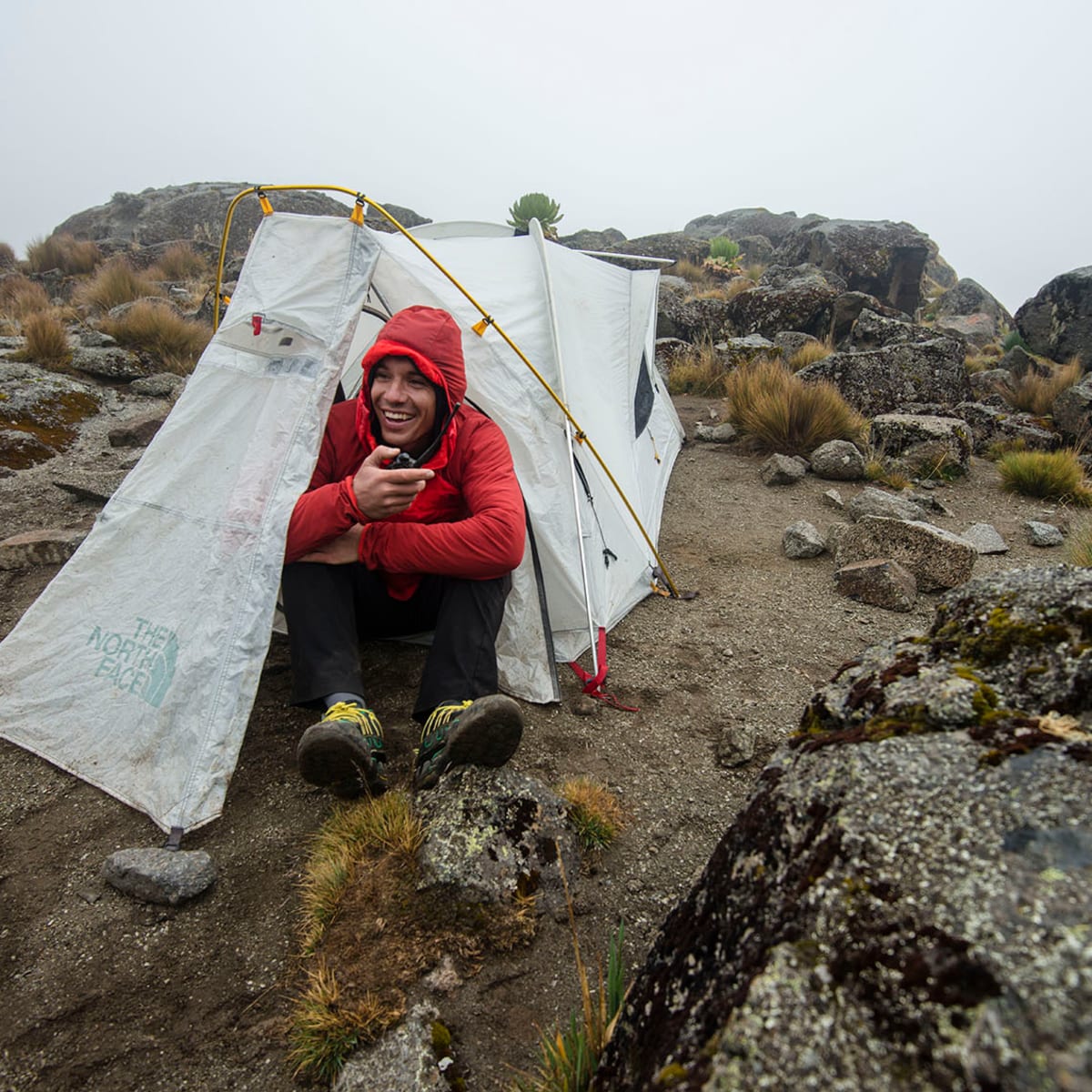 Alex honnold sale the north face