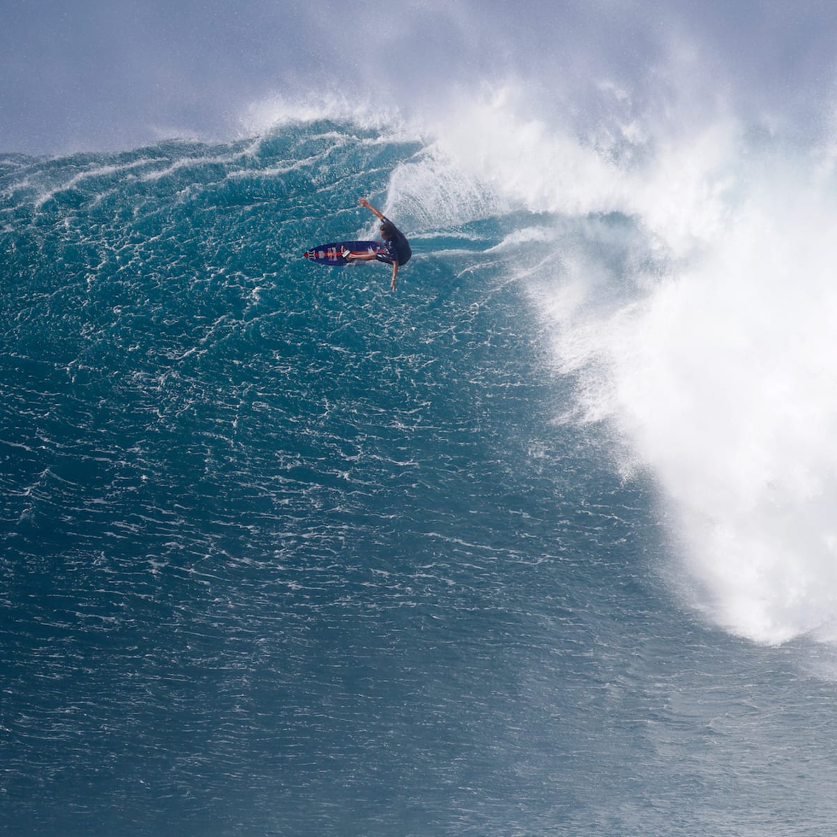 Kai shop lenny jaws