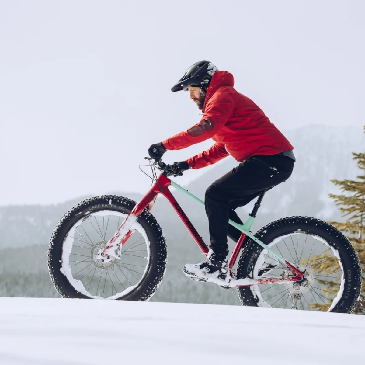 Best beginner discount fat bike