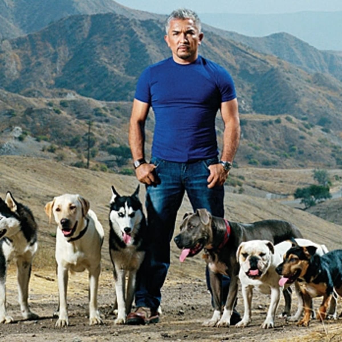 Cesar millan outlet collar petco