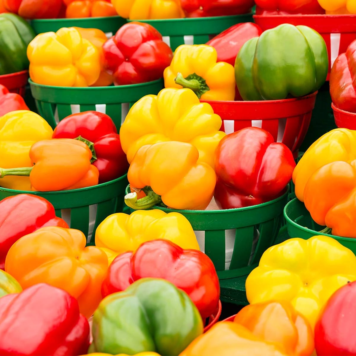 Is There a Difference Between Red Yellow Orange and Green Bell