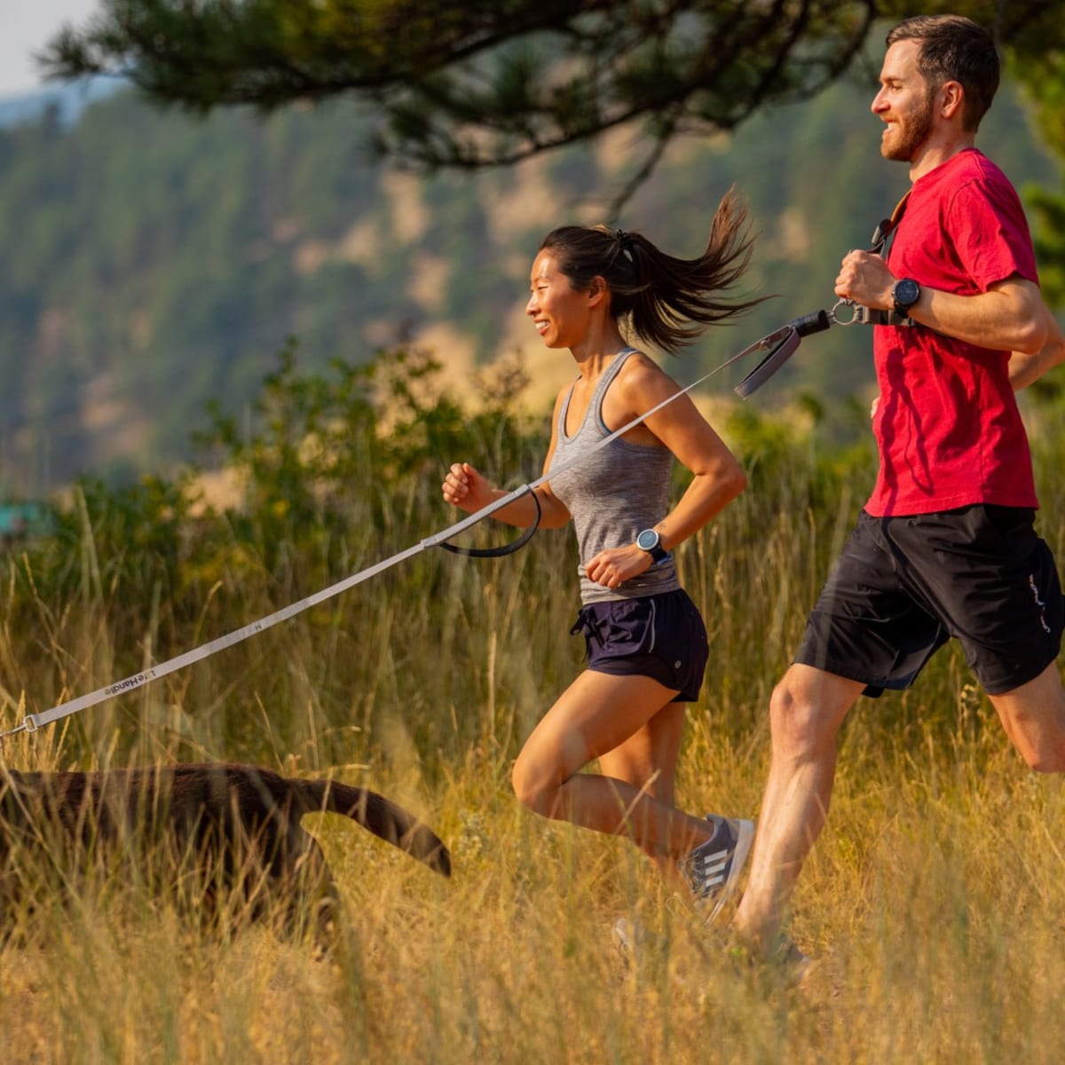 Petco sales running leash