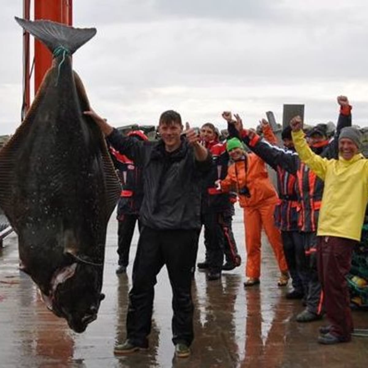 German fisherman catches world record 515 pound Atlantic halibut Men s Journal