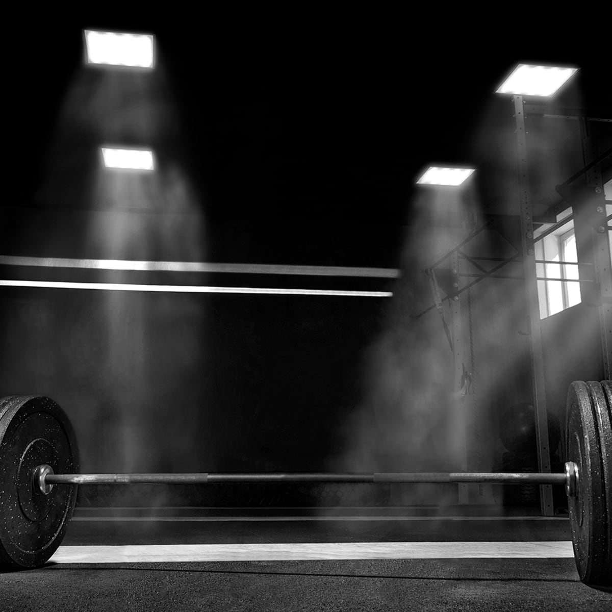 Best barbells sales for beginners