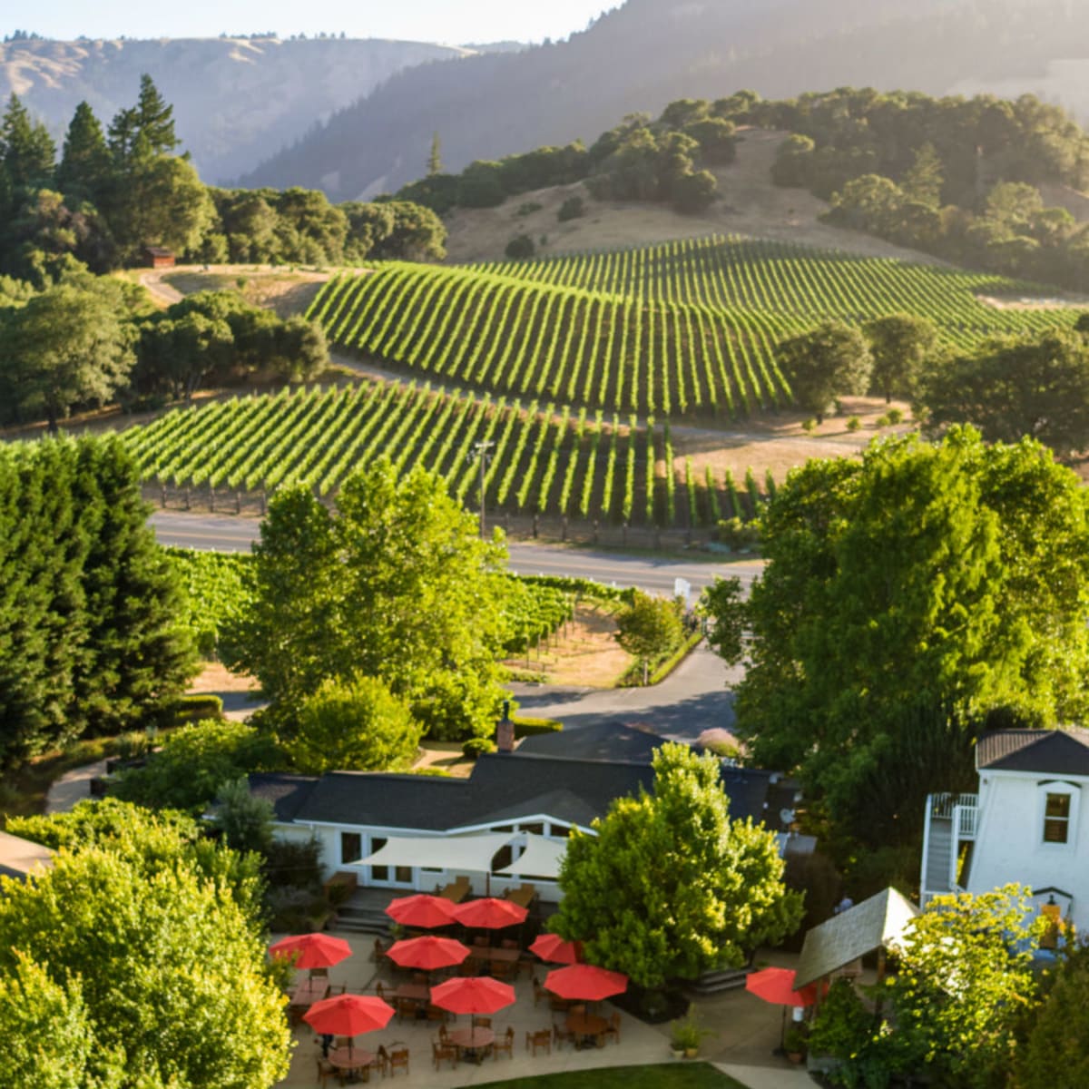 Top wineries near me on sale