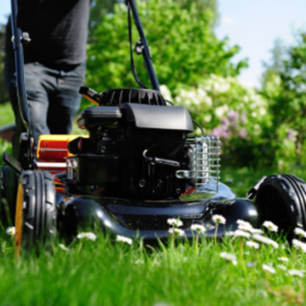 Equipment used best sale to cut grass
