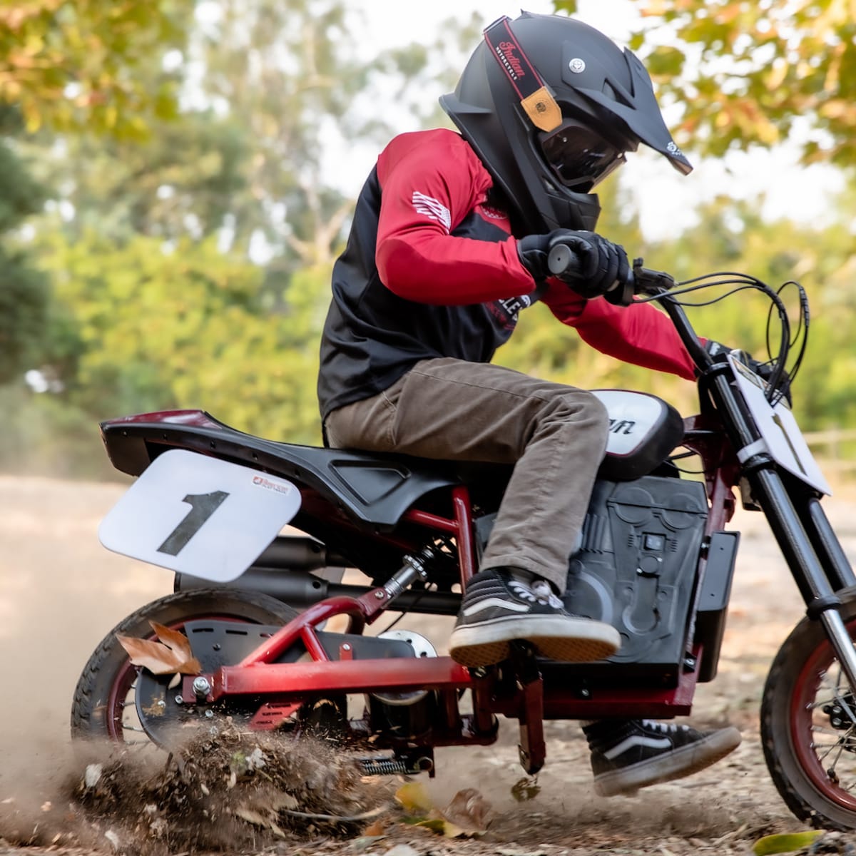 Indian motorcycle mini shop bike