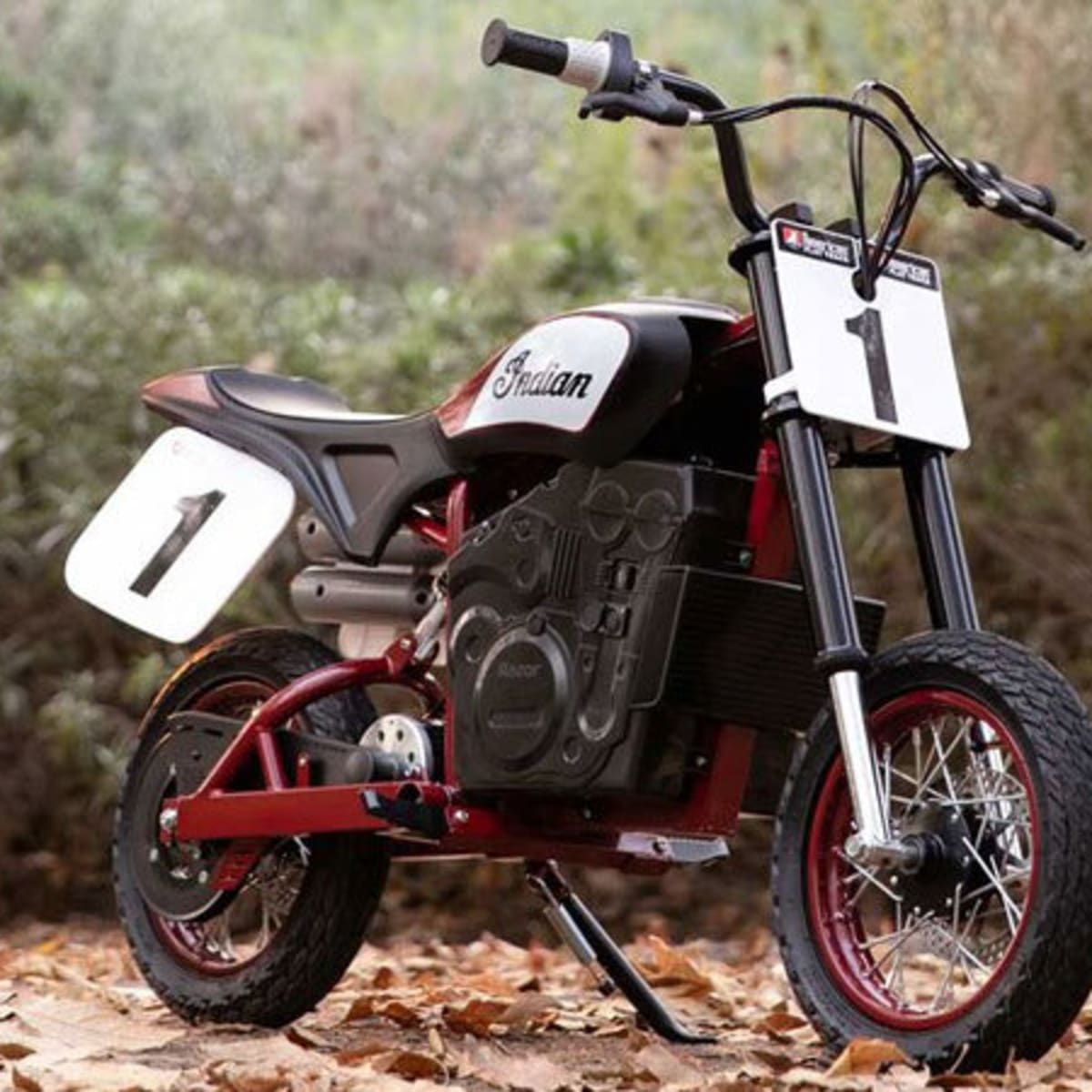Electric best sale indian motorcycle