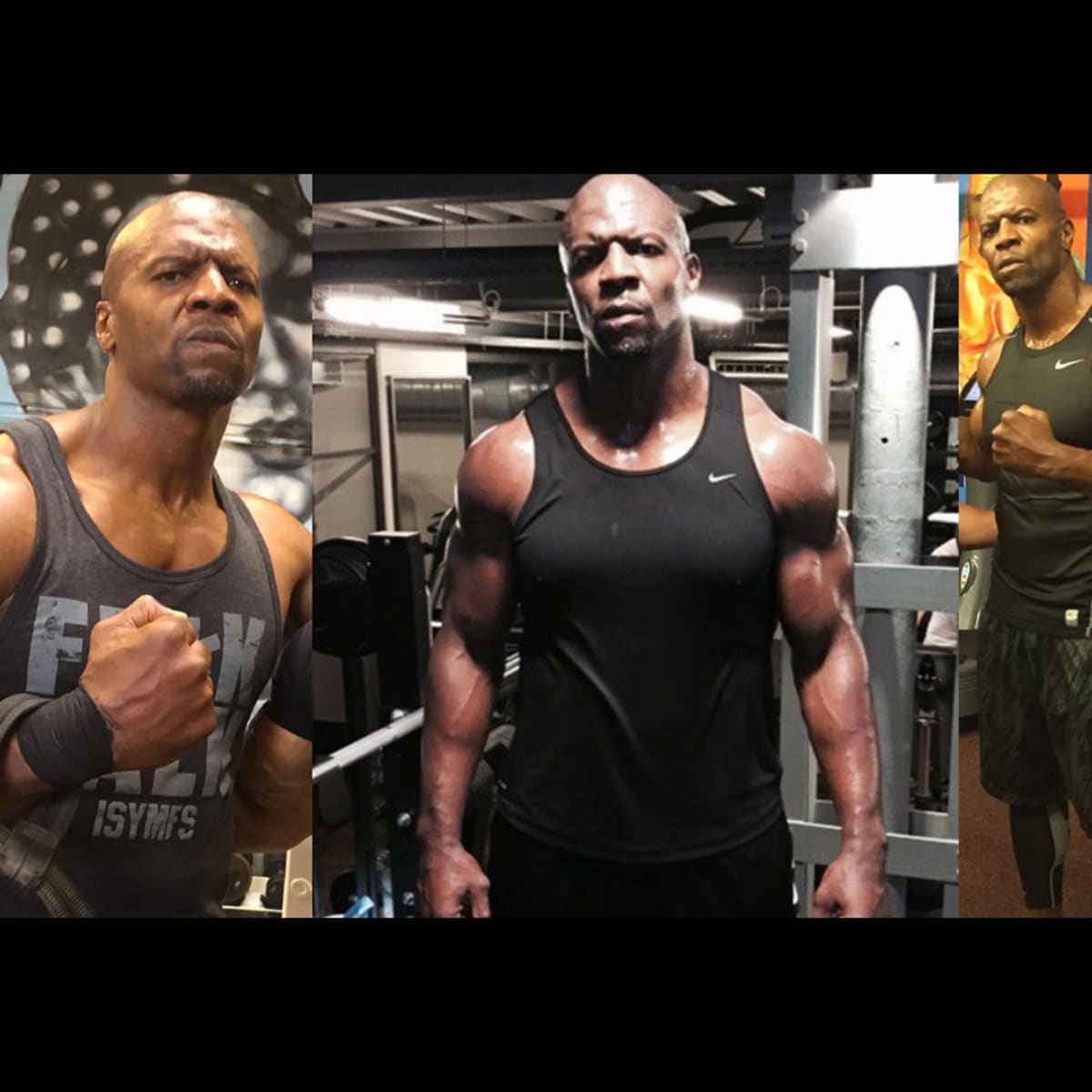 Terry crews top fitness