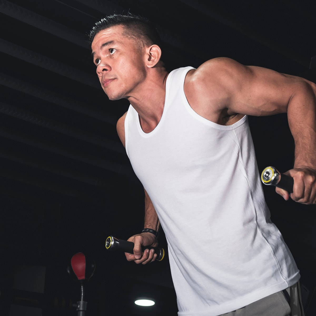 Dip home gym outlet