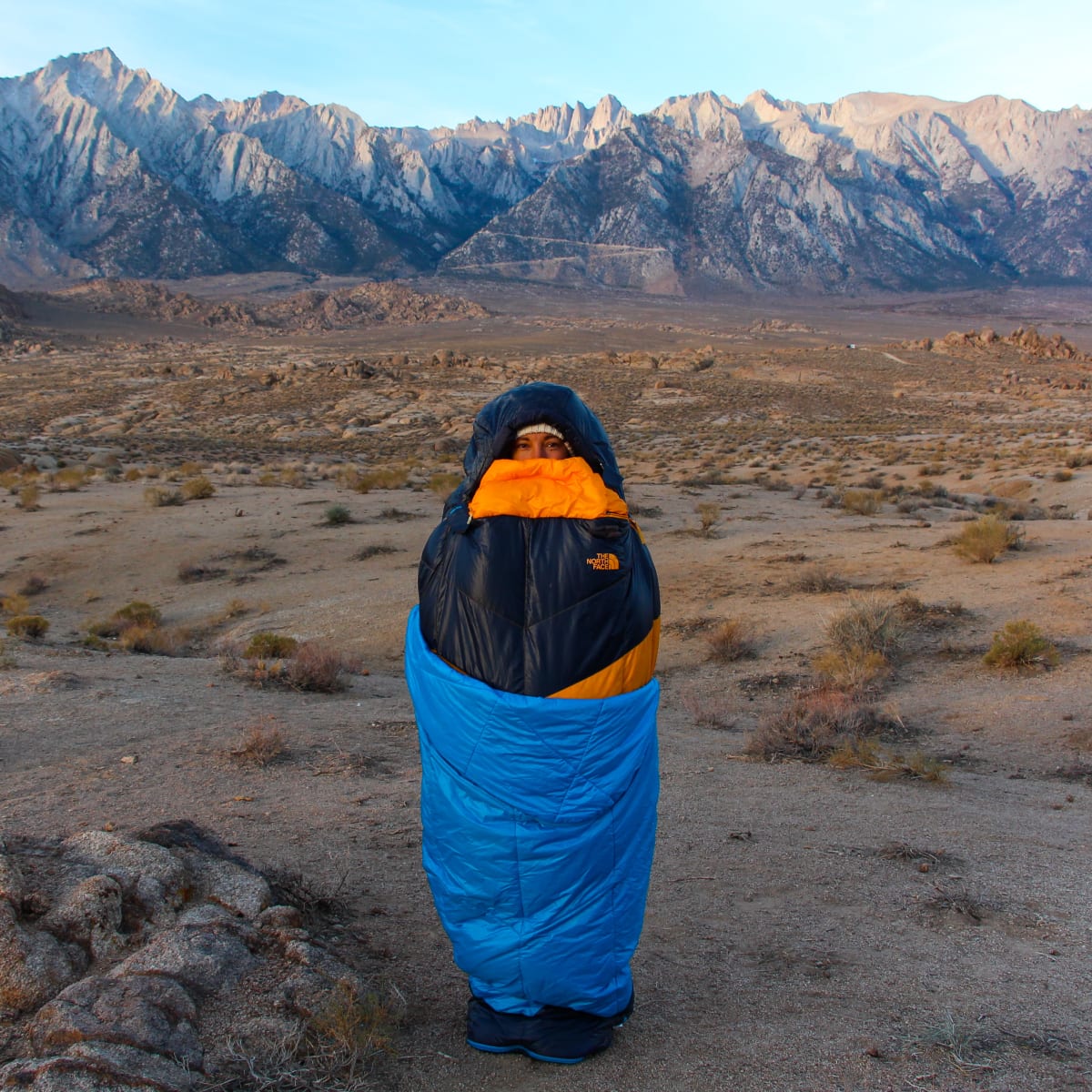 The north face one bag store
