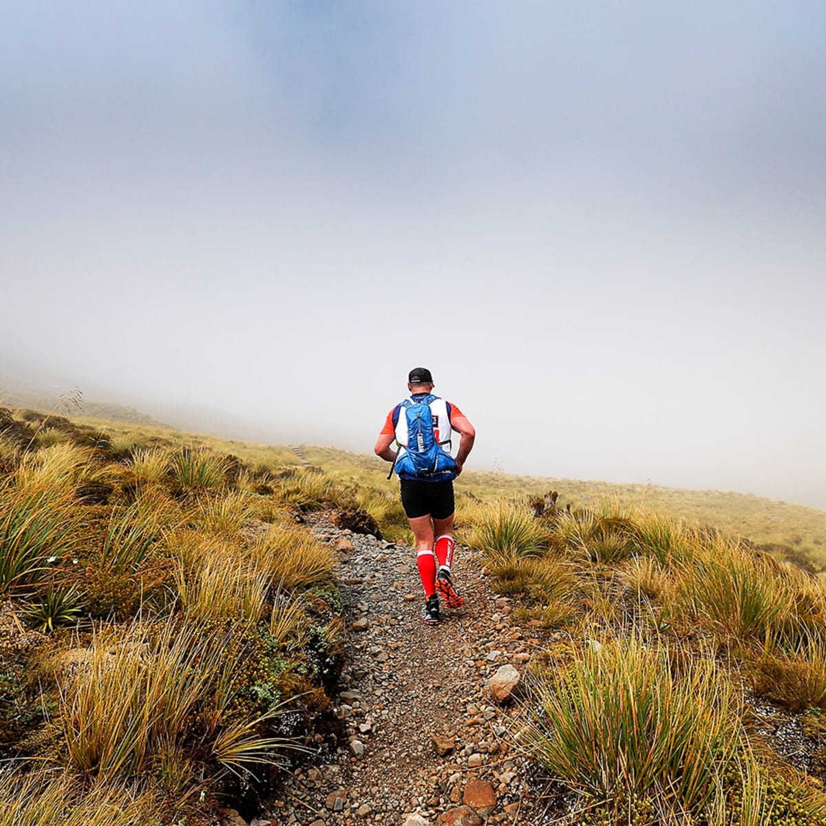 Hill leg workout 2025