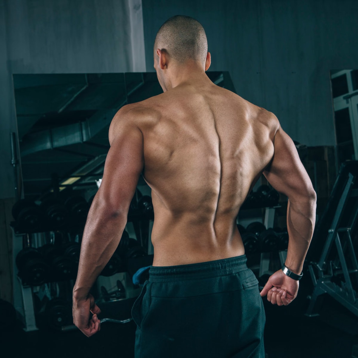 Thick clearance traps workout