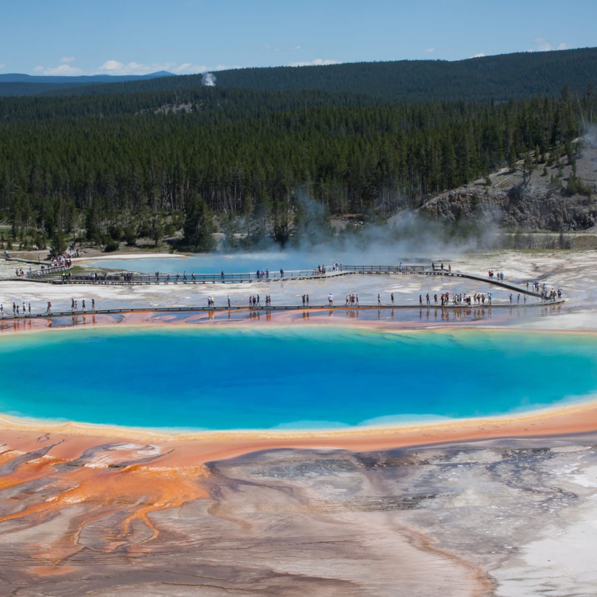 Yellowstone sale