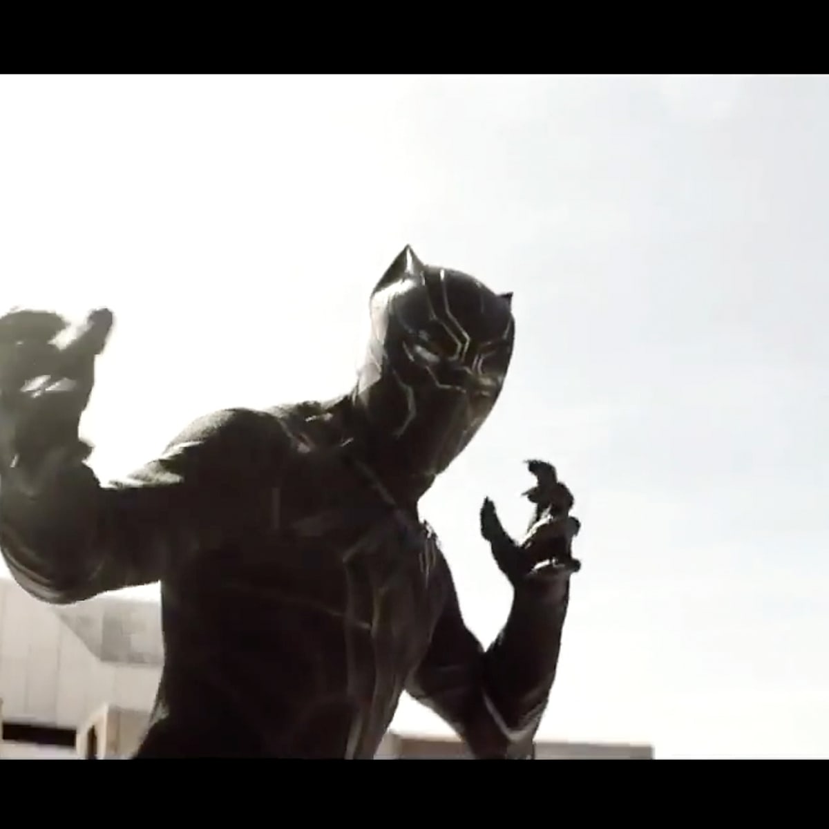 Black panther civil deals war