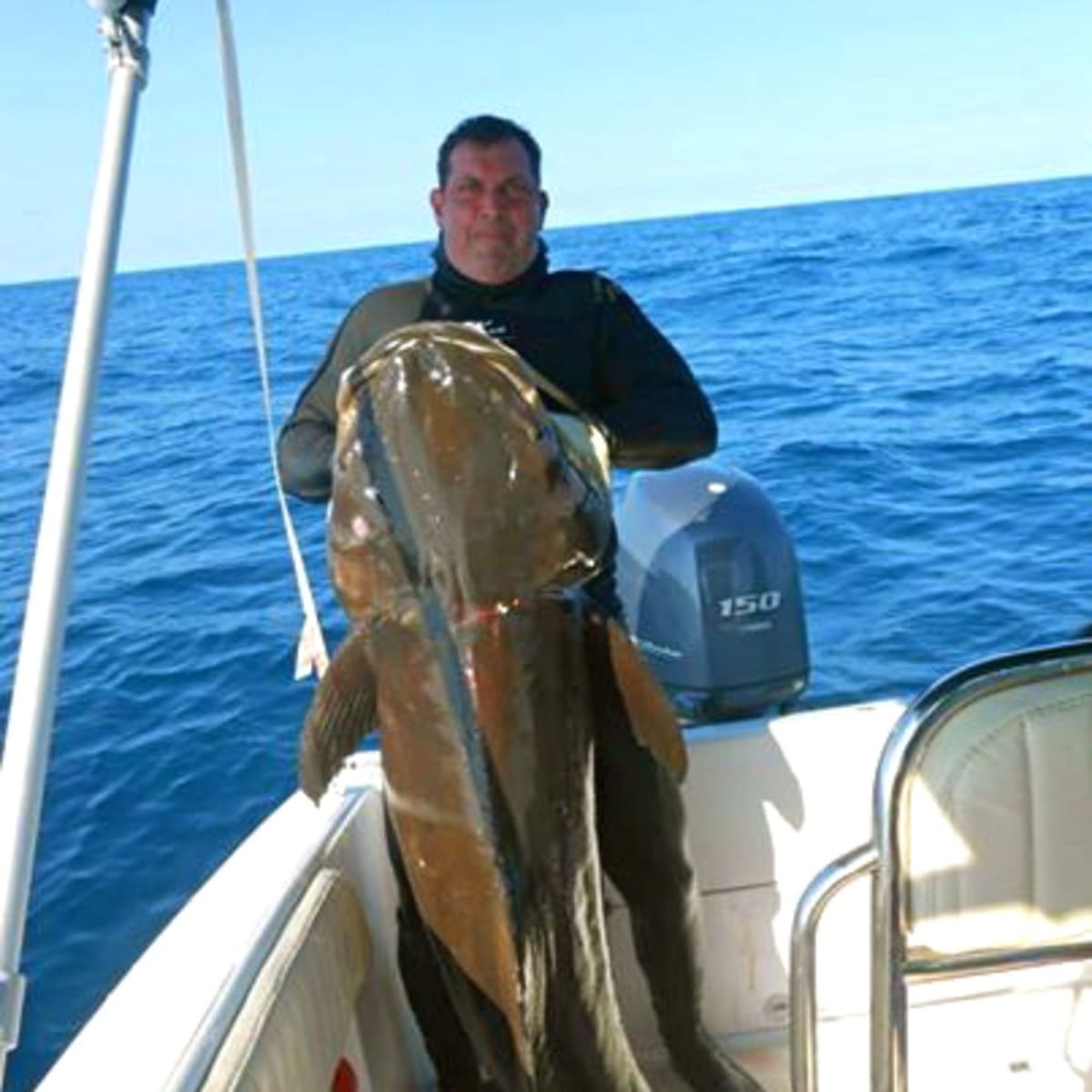 Enormous cobia speared off Brazil nearly 30 pounds heavier than