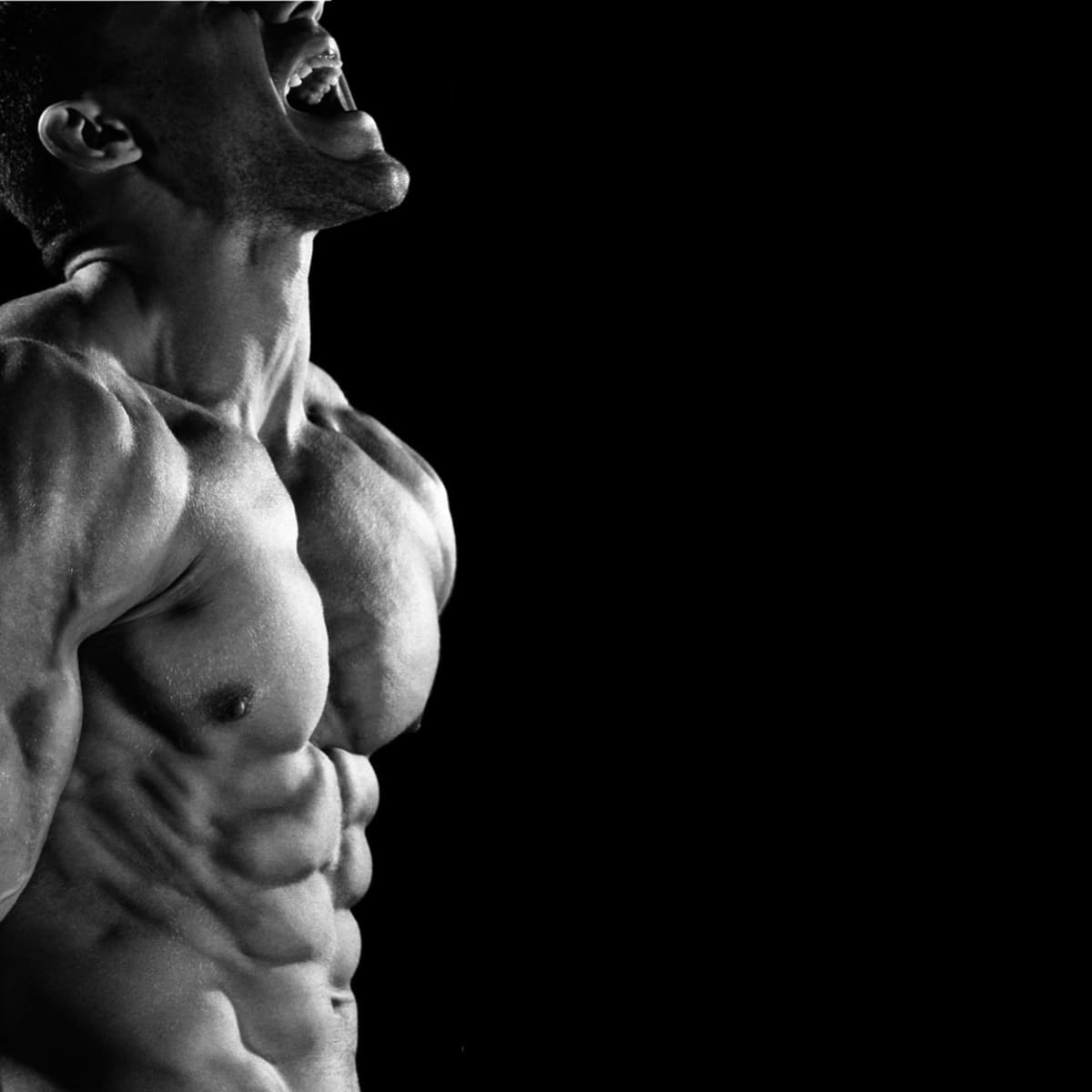 21 day shred clearance