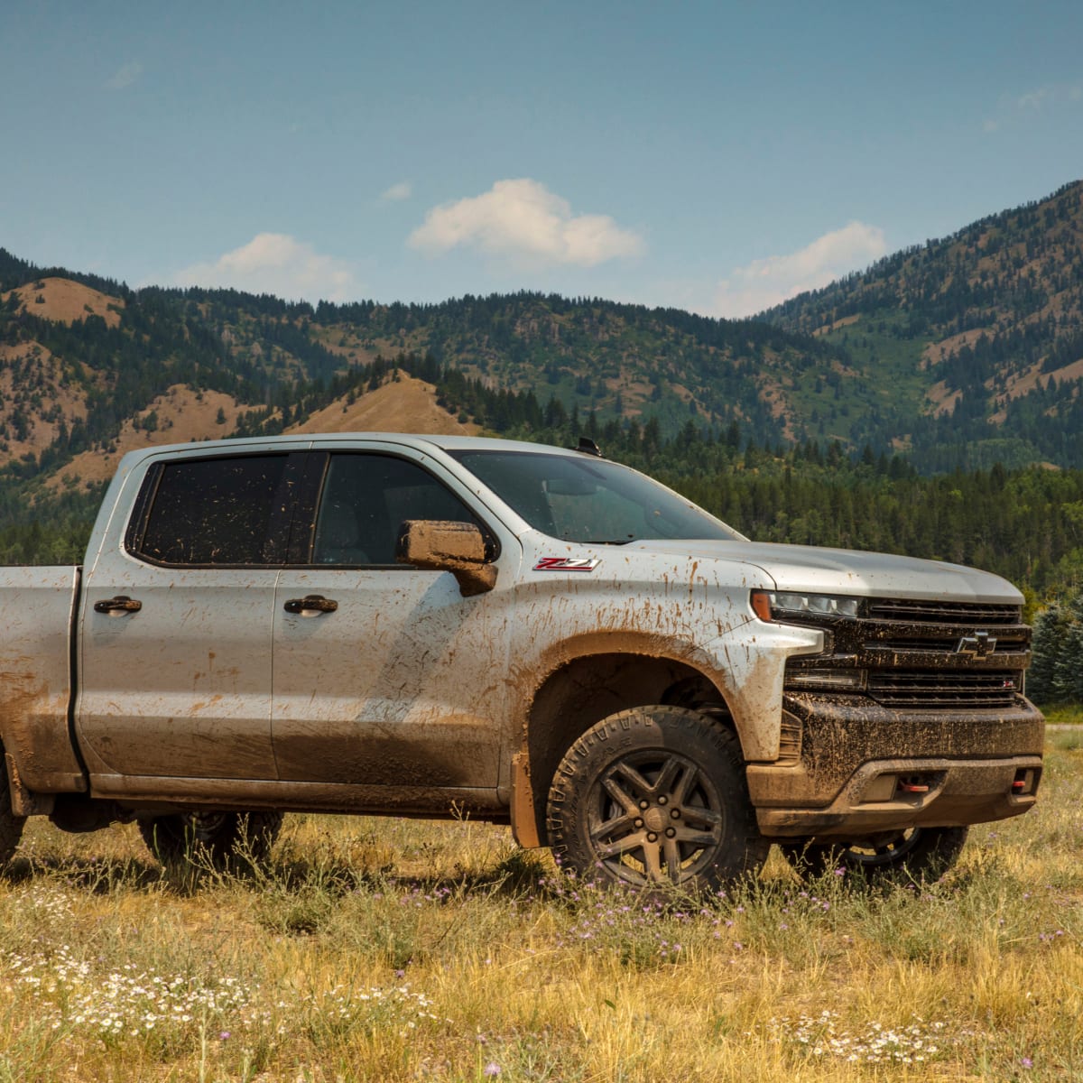 2019 chevrolet best sale silverado z71