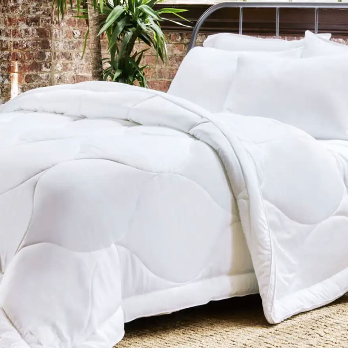 Cloud comforter store
