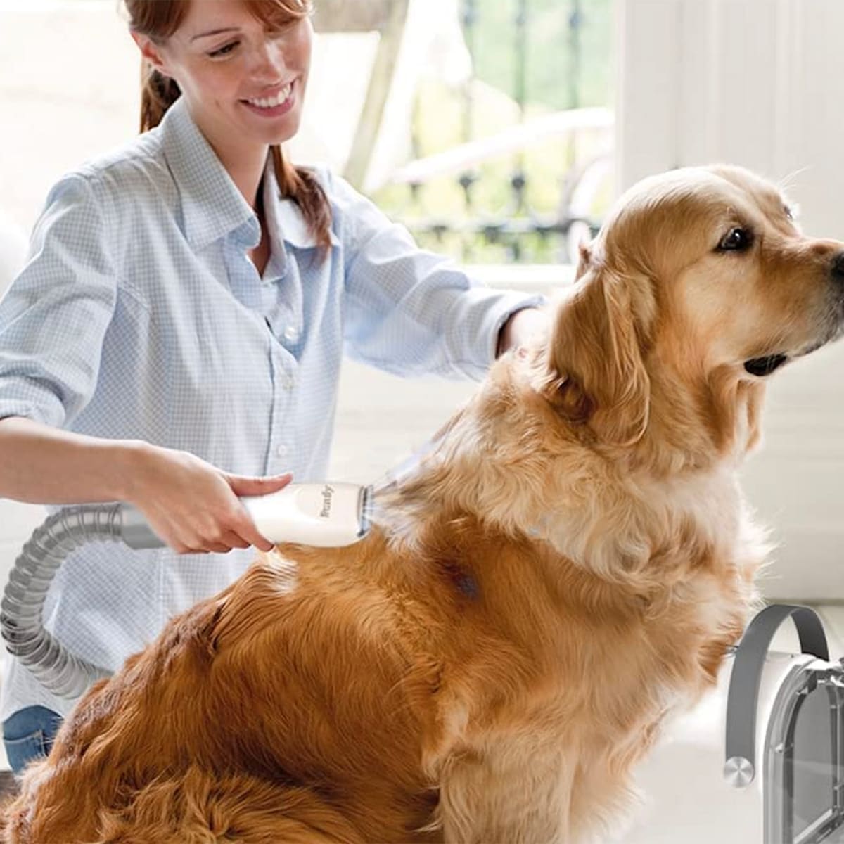 Pet shaver 2024