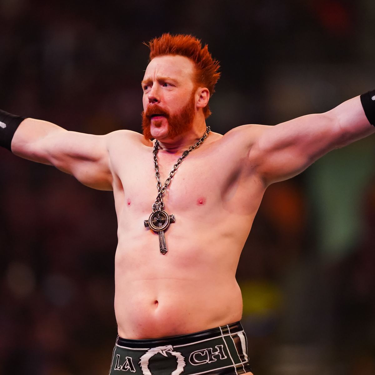 Sheamus wrestler new arrivals