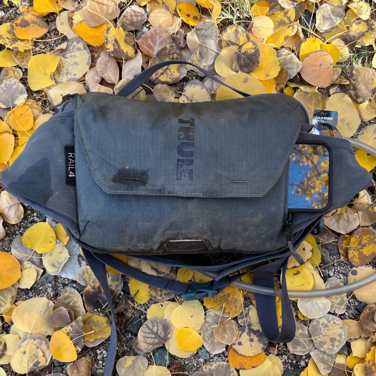 Thule deals hip pack