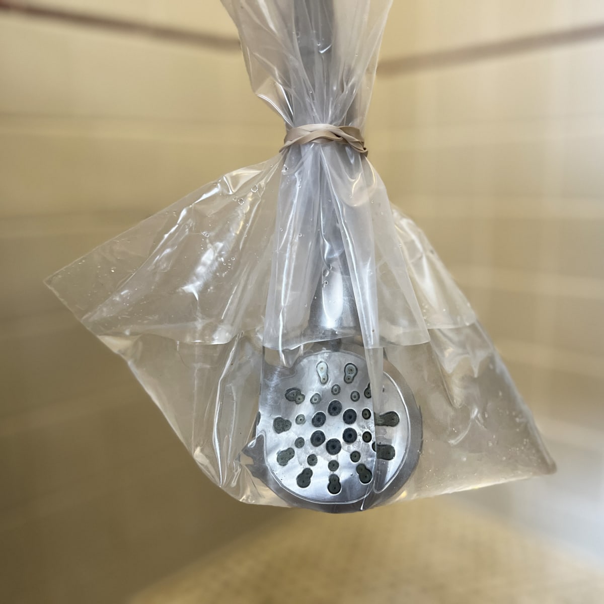 Showerhead vinegar deals