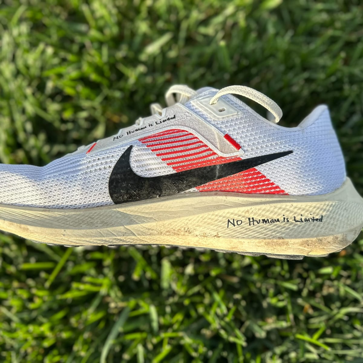 Nike shoes top kipchoge