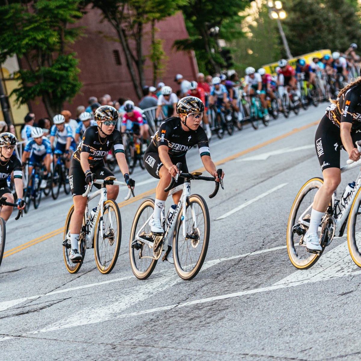L39ion cycling sales