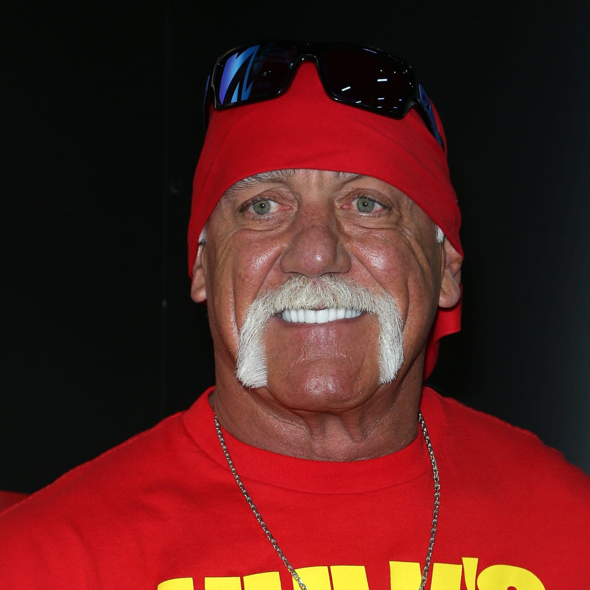 Hulk Hogan Saves Teenage Girl From Car Crash Using a Ballpoint Pen