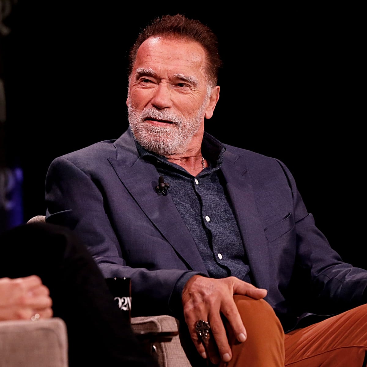 Audemars discount piguet schwarzenegger