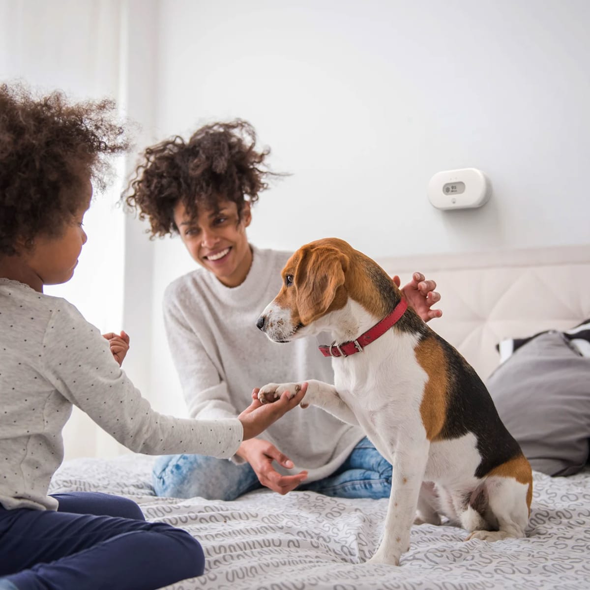 Protect Your Home Against Radon Gas Products That Work Men s