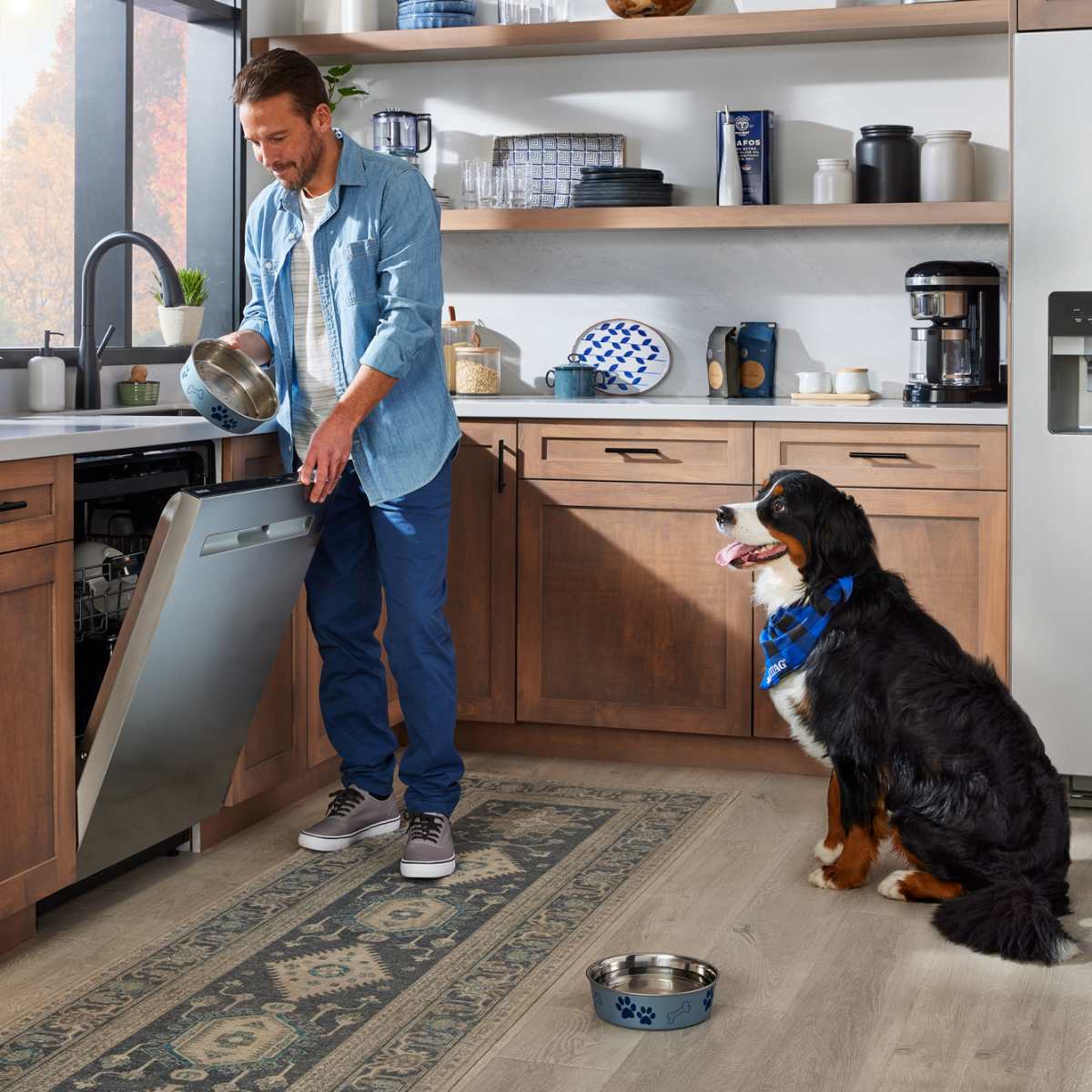 Washing dog bowls with human dishes 2025