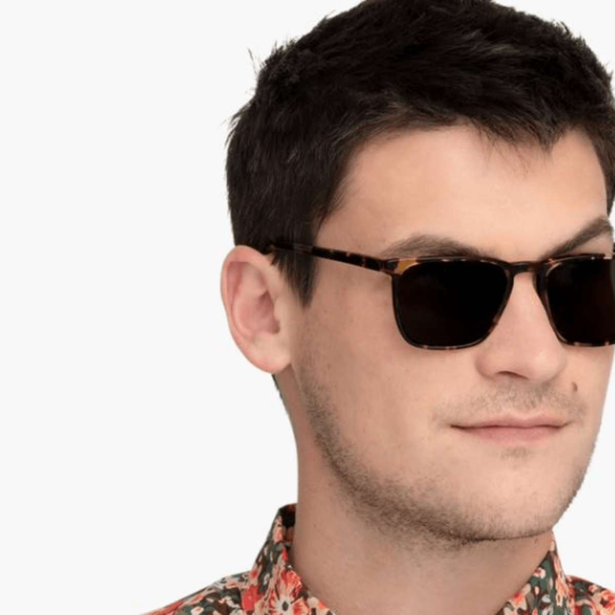 Warby parker sutton sunglasses cheap