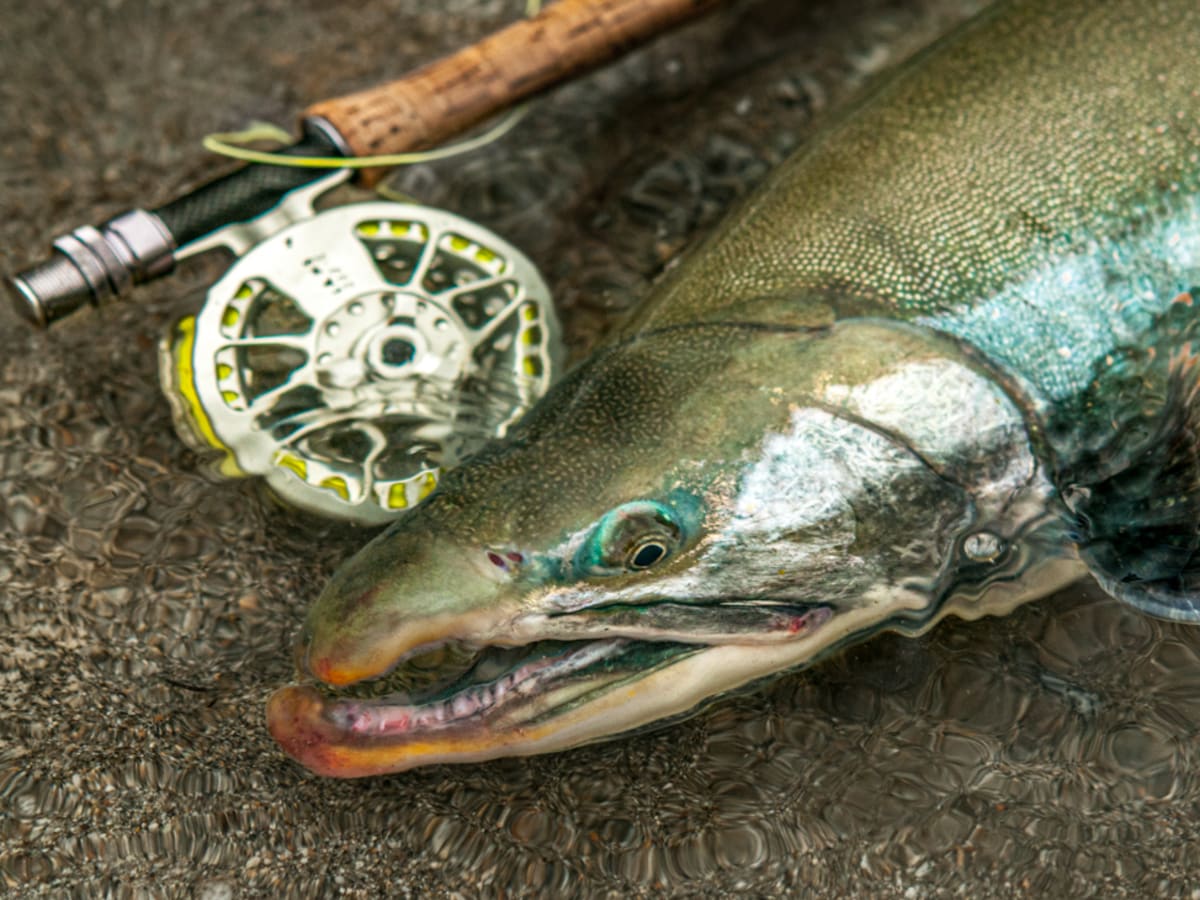 Fly Fishing Gear: A Simple Tool That Pays Big on Convenience. - Men's  Journal
