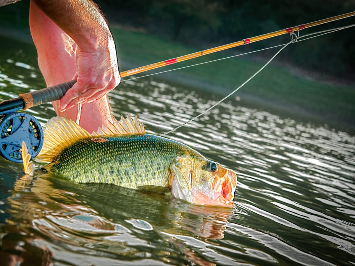 Fly Fishing for Largemouth Bass - Men's Journal