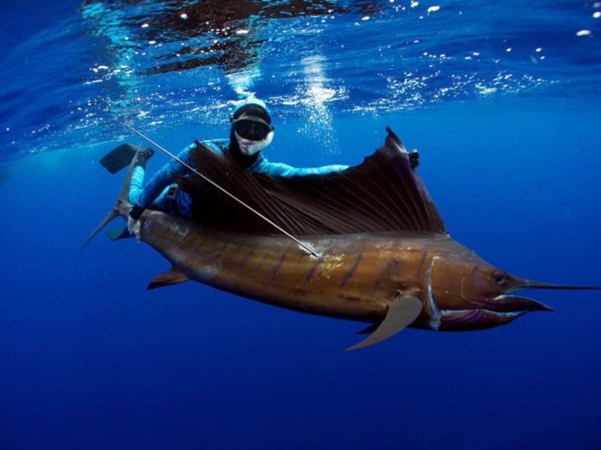10 things you need to start spearfishing - Men's Journal