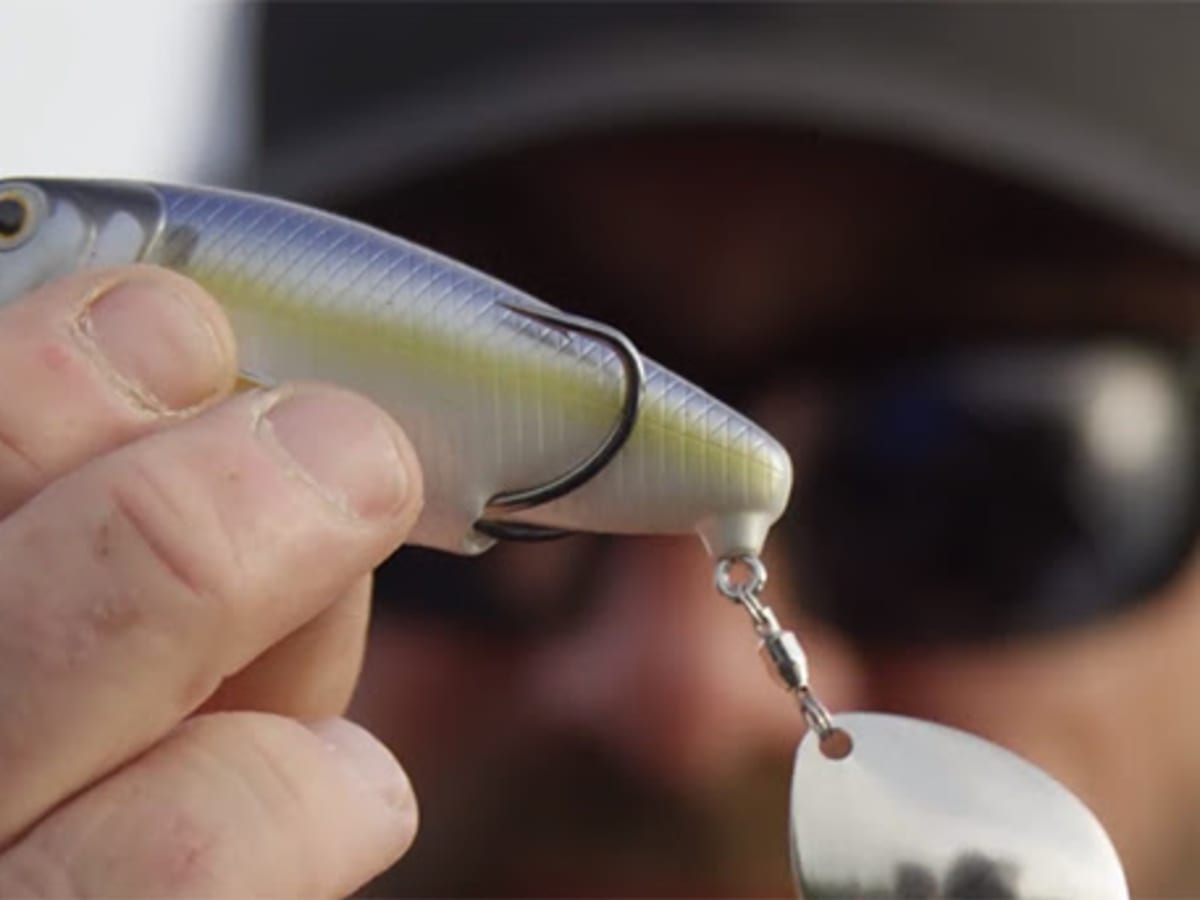 LIVETARGET Introduces new Commotion Shad - Men's Journal