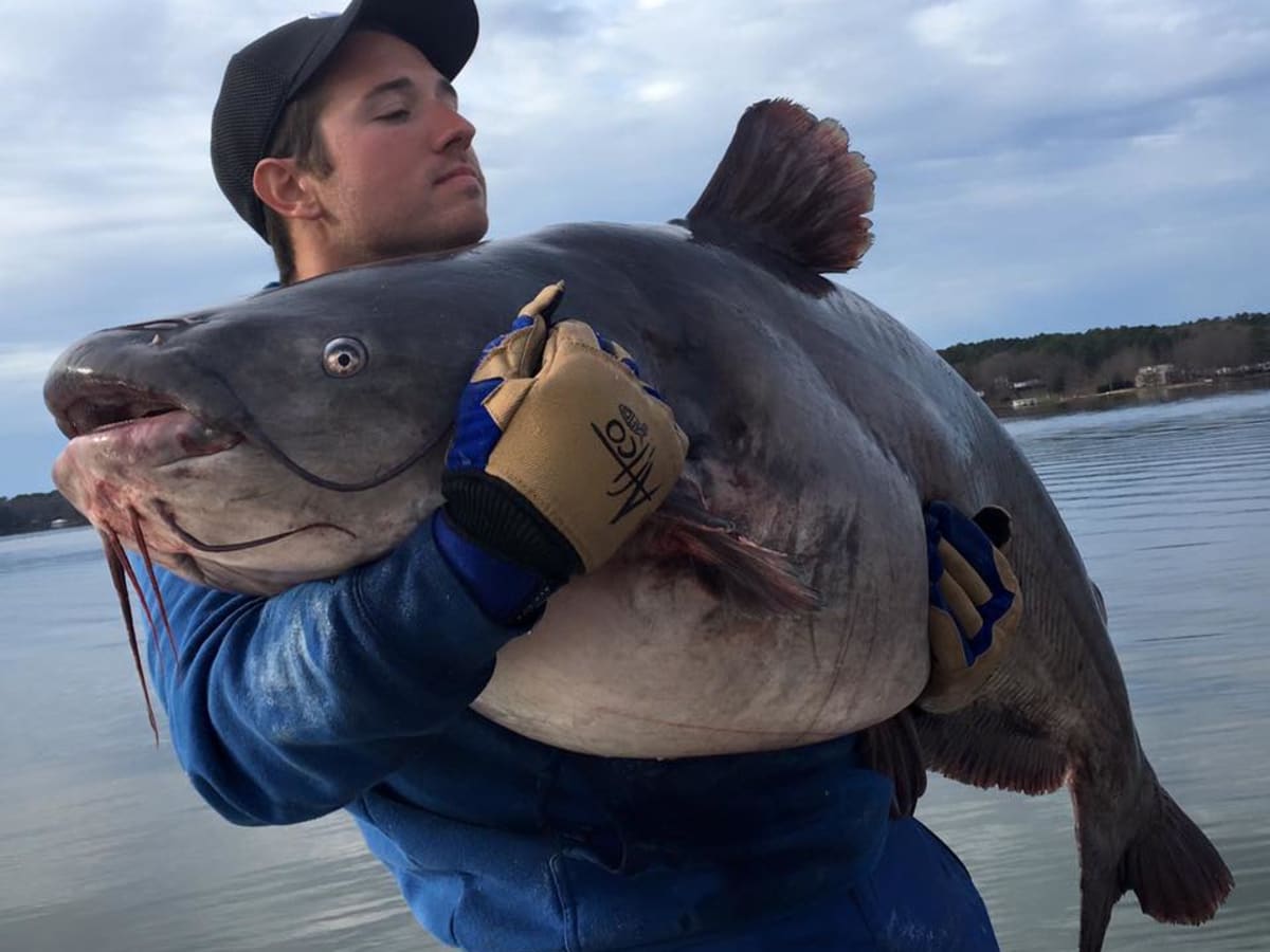 Angler sets blue catfish record, then breaks own record the next day -  Men's Journal