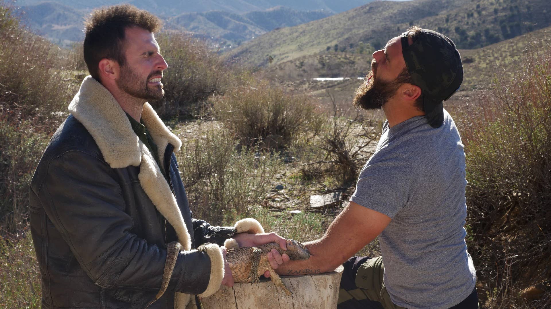 Kings of Pain' Hosts Voluntarily Get Attacked by Dangerous Animals - Men's  Journal