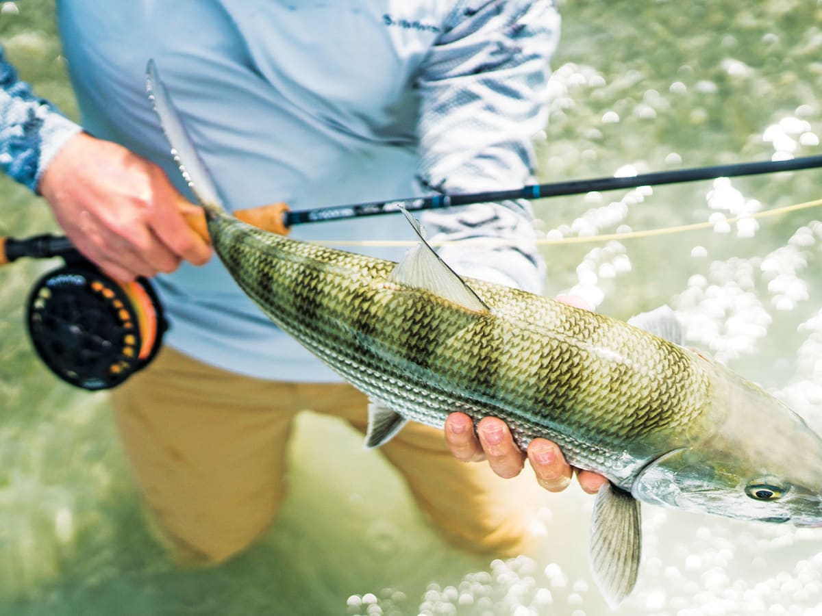 Best Saltwater Fly-fishing Gear to Reel in Tough Fish