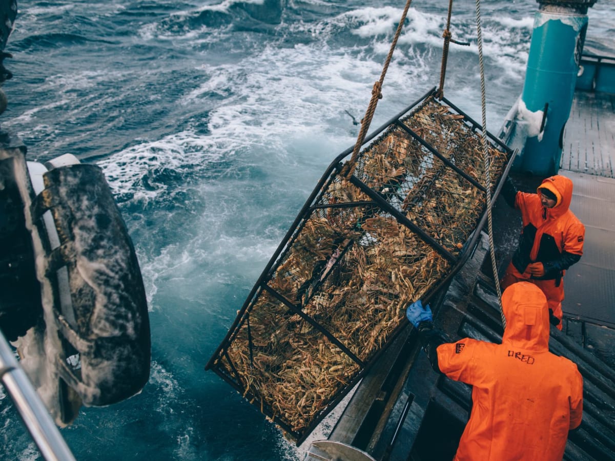 Crab fishing rain best sale gear
