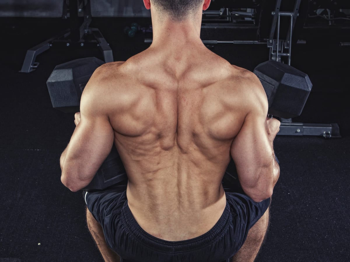 Shoulder workout hotsell with no weights