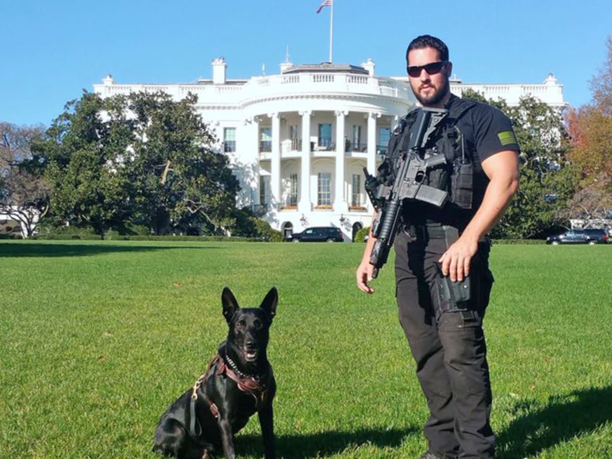 Secret service dogs new arrivals